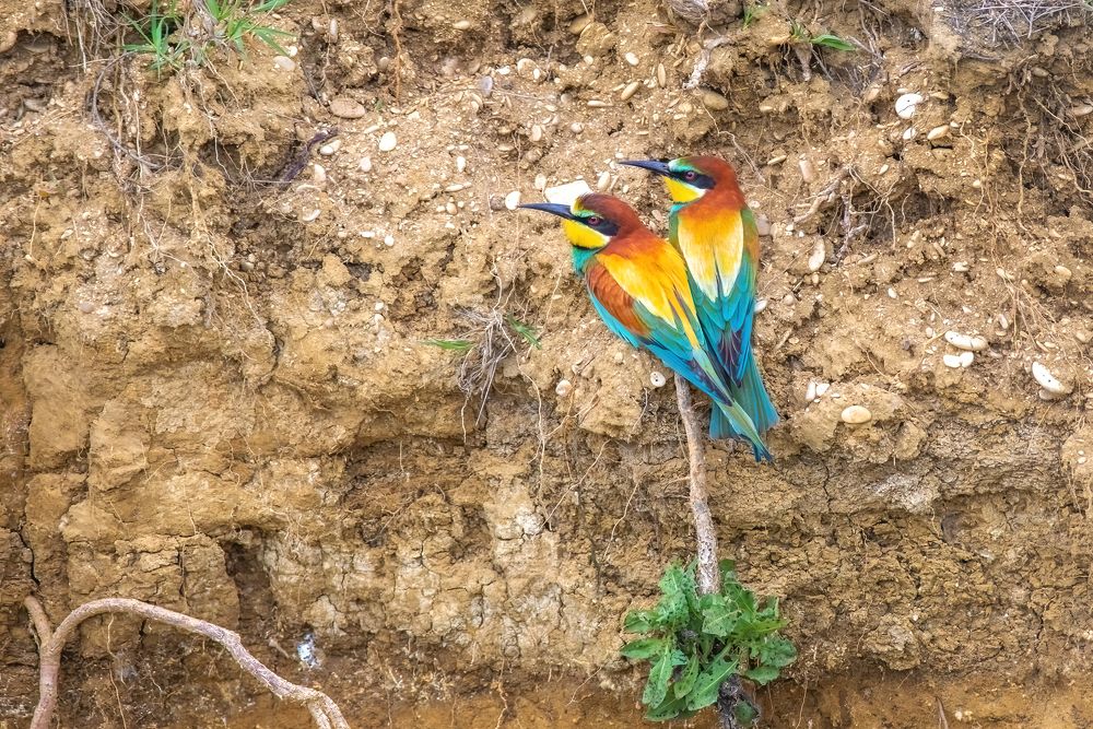 Photograph by Власов Егор