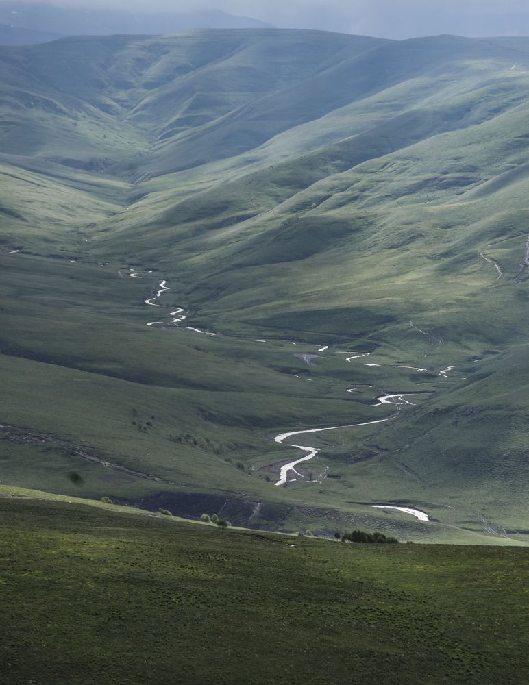 Photograph by Надежда Бормотова