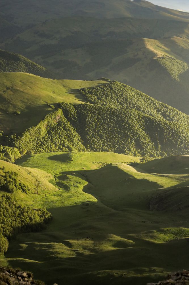 Photograph by Надежда Бормотова