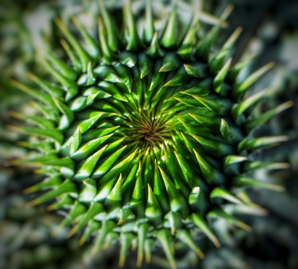 Фотография автора reza ahmadi