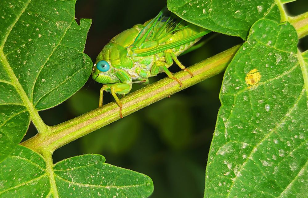Фотография автора reza ahmadi