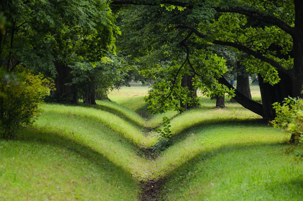 Photograph by Валерий Верещако