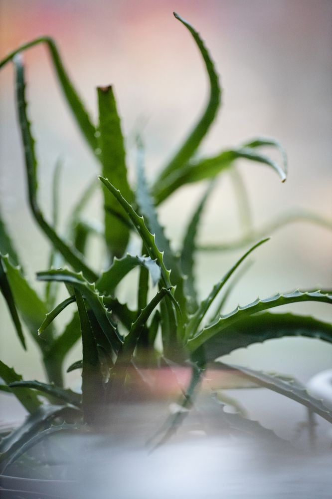 Фотография автора Станислава Гордеева