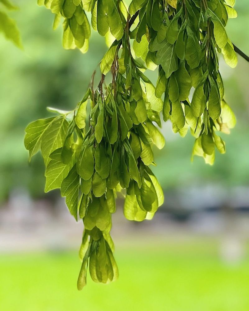 Photograph by Татьяна Волохова