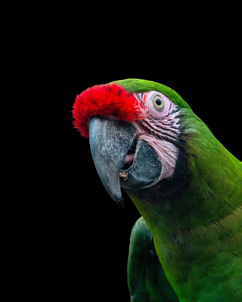 Photograph by Дудников Александр