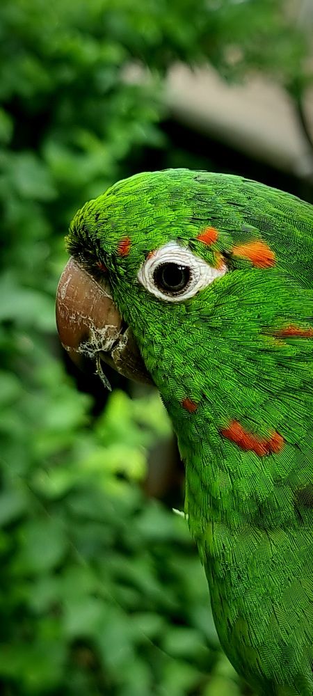 Photograph by Gr Marie