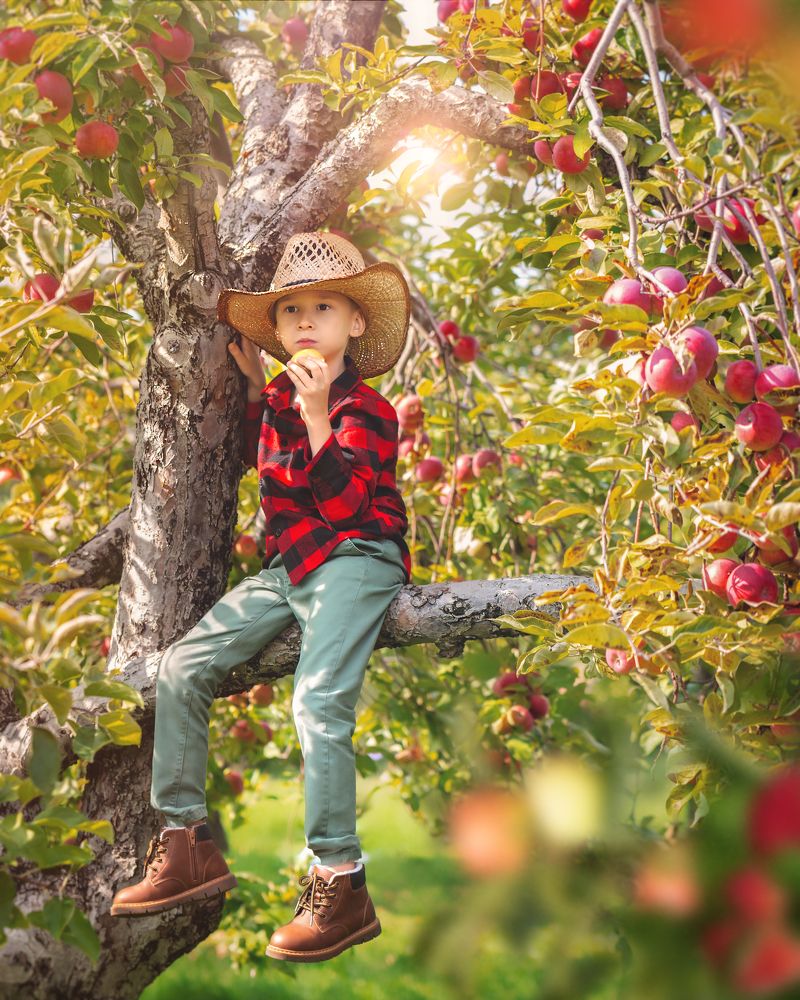 Photograph by Maria Potashova