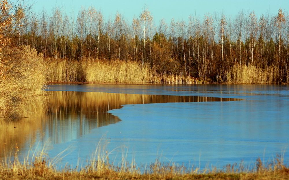 Фотография автора Nelya  Lysenko