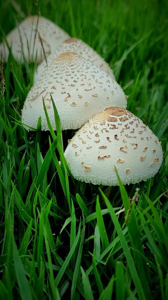 Photograph by Gr Marie