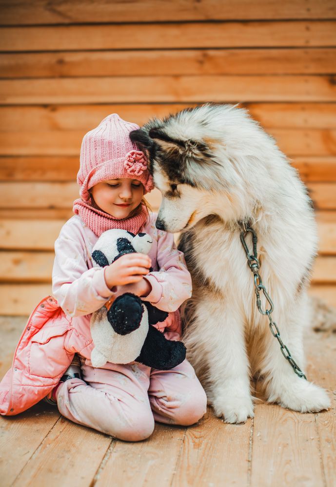 Photograph by Елена Чекменева