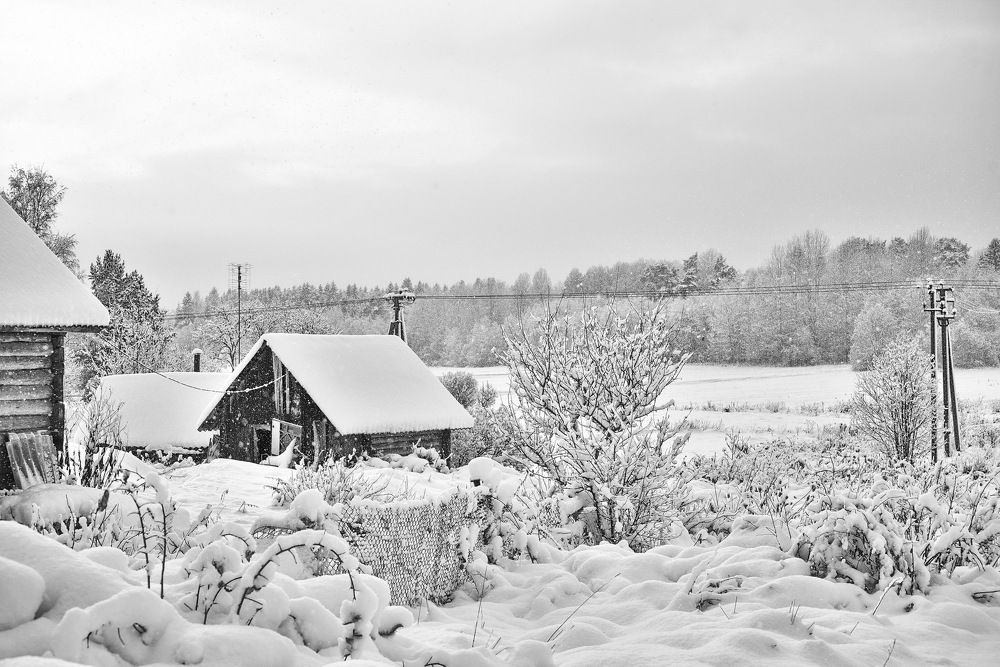 Снежный день в деревне.