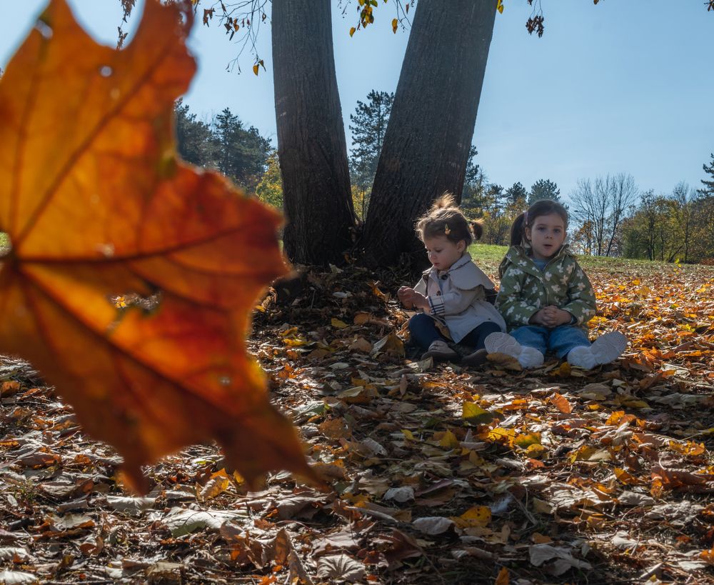 Photograph by Милан Ђорђевић