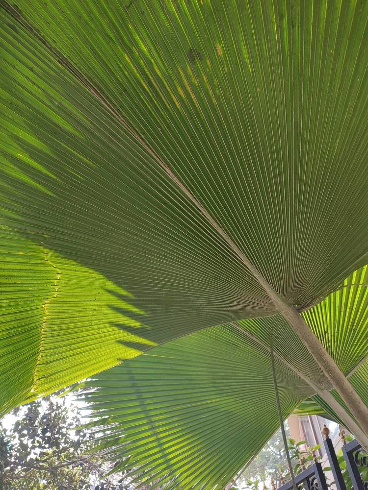 Photograph by Виктор Бута