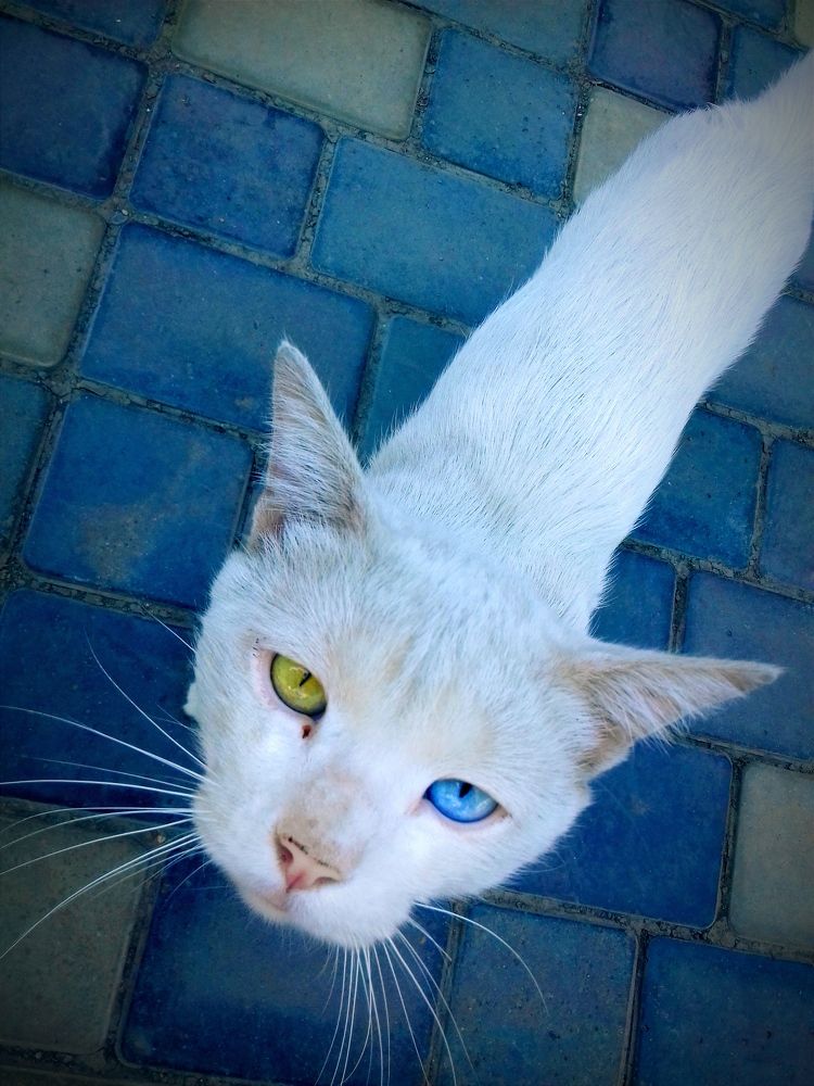 Photograph by Владимир Ким