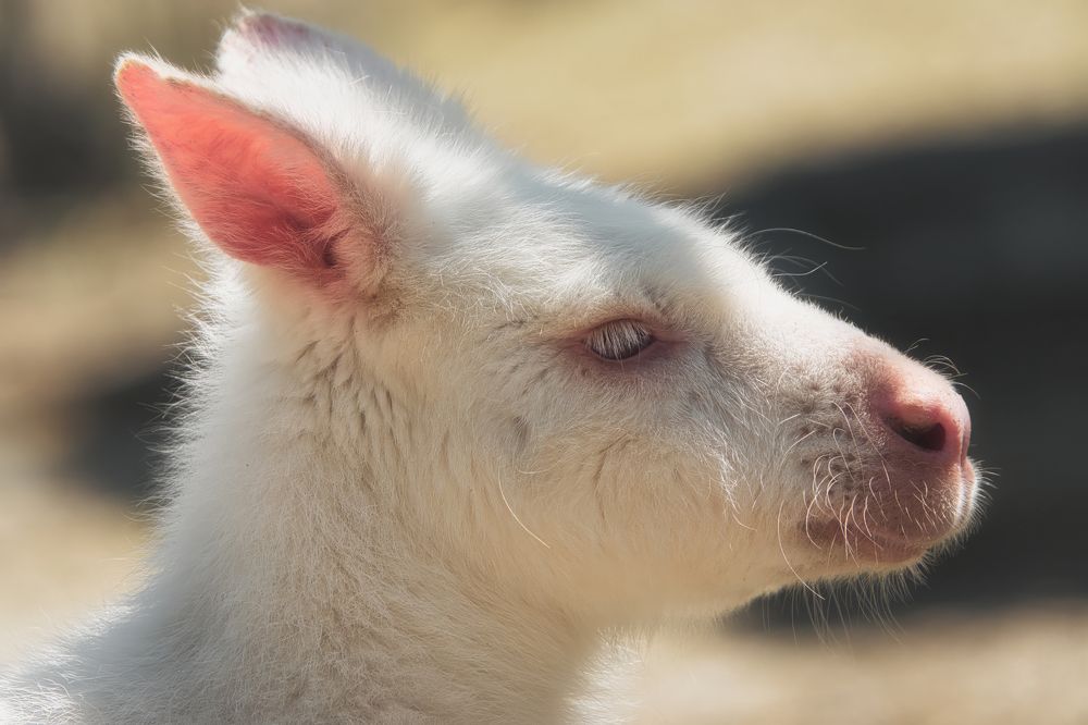 Photograph by Дудников Александр