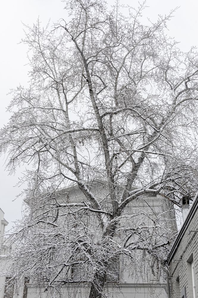 Photograph by Елена Барышева