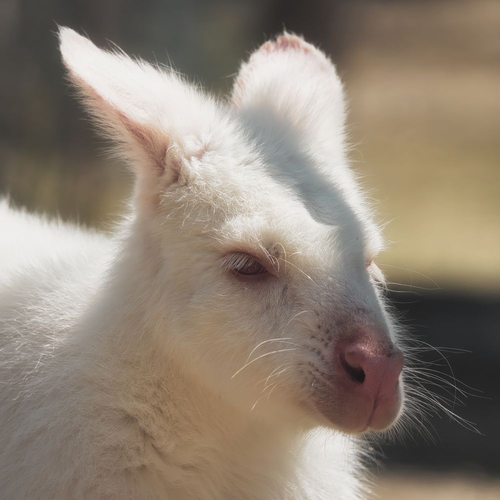 Photograph by Дудников Александр