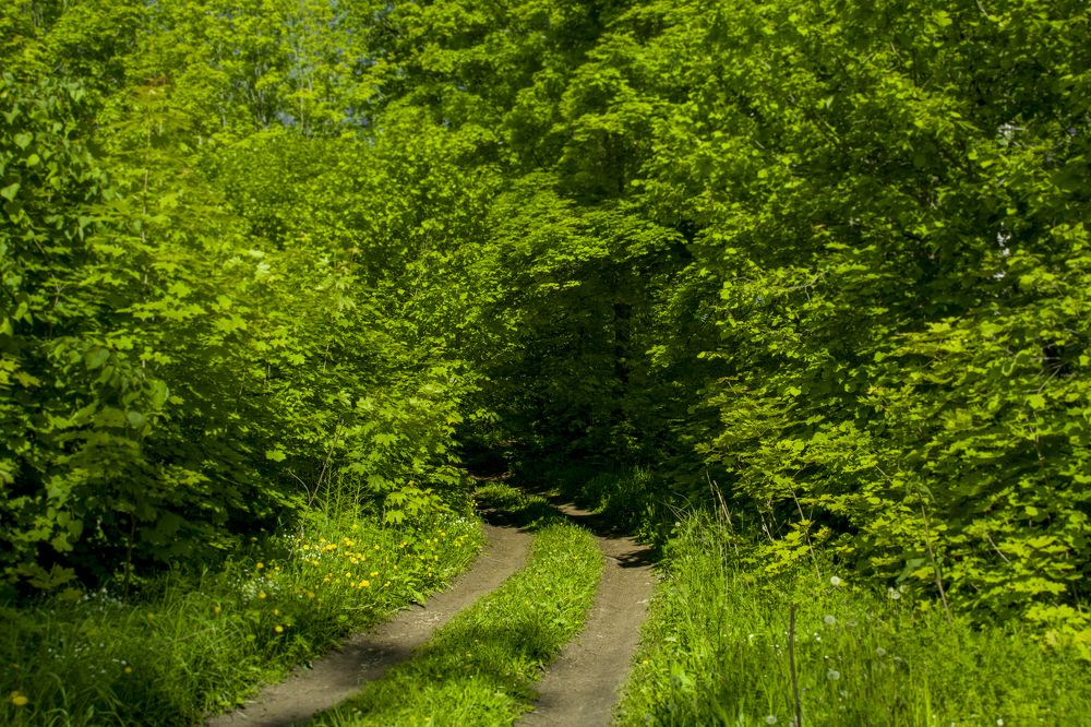 Photograph by Евгений Насибуллин