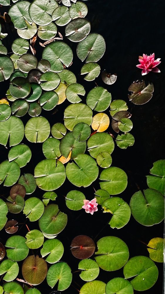 Photograph by Печерских Ксения