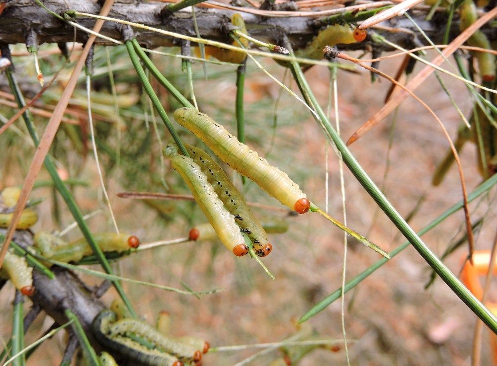 Photograph by Александр Захаров
