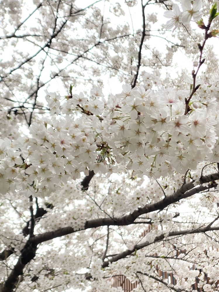 Фотография автора Ирина Бакалова