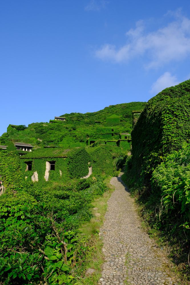 Фотография автора Александр Высоцкий