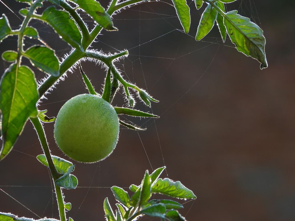 Photograph by Александр Захаров