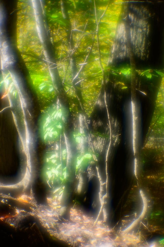 Photograph by Александр Тельшевский