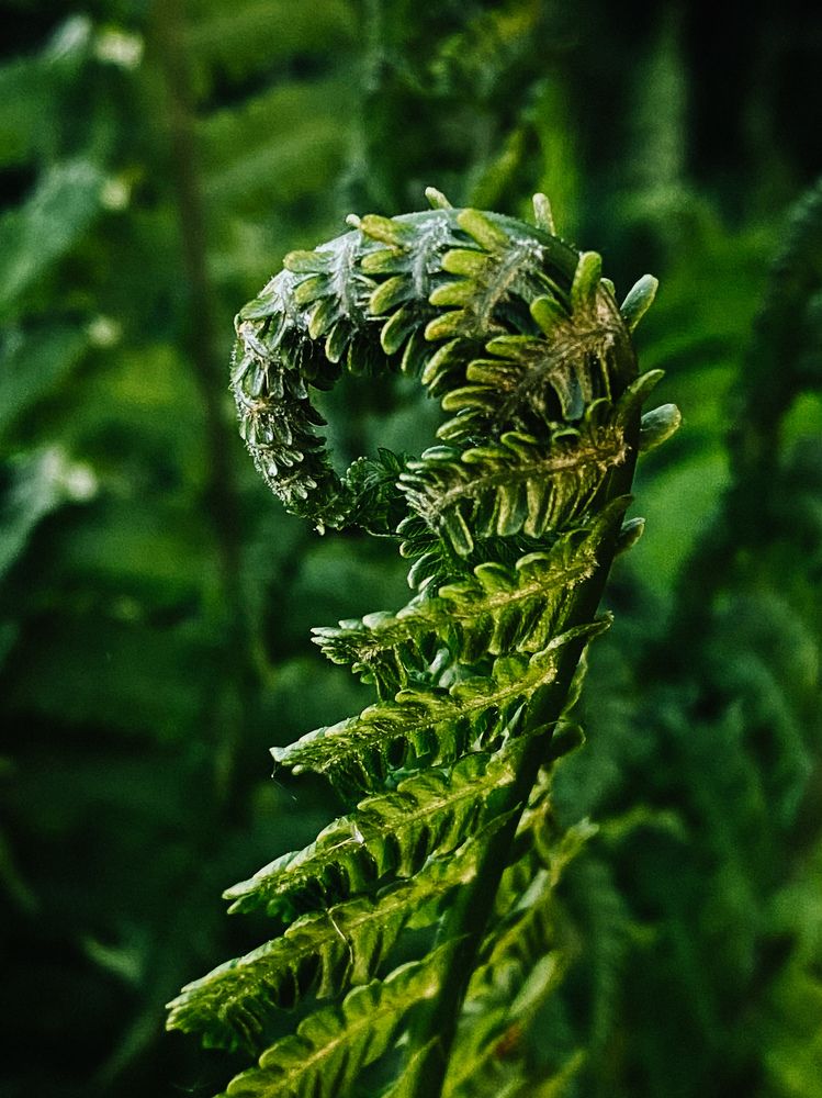 Photograph by Печерских Ксения