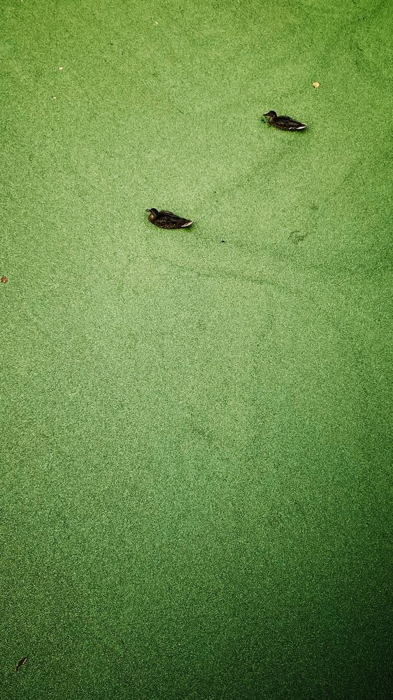 Photograph by Печерских Ксения