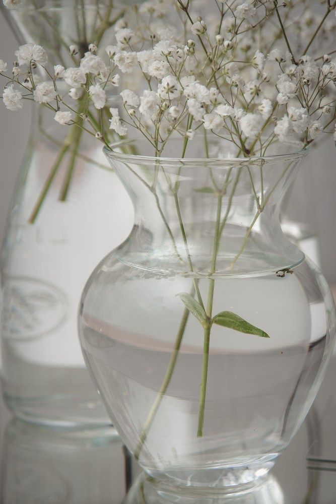 Photograph by Печерских Ксения