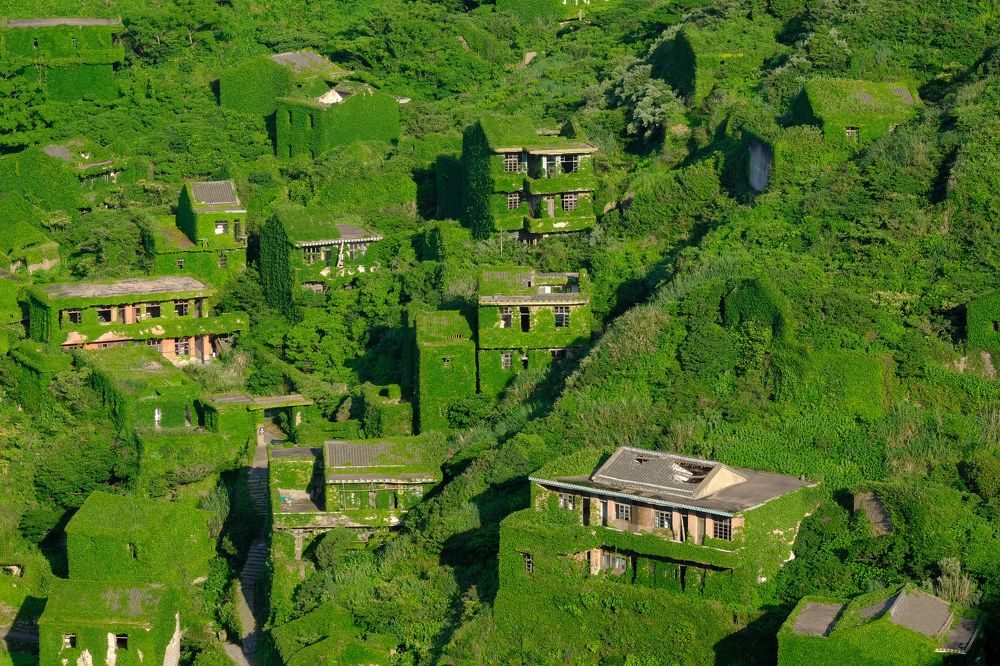 Фотография автора Александр Высоцкий