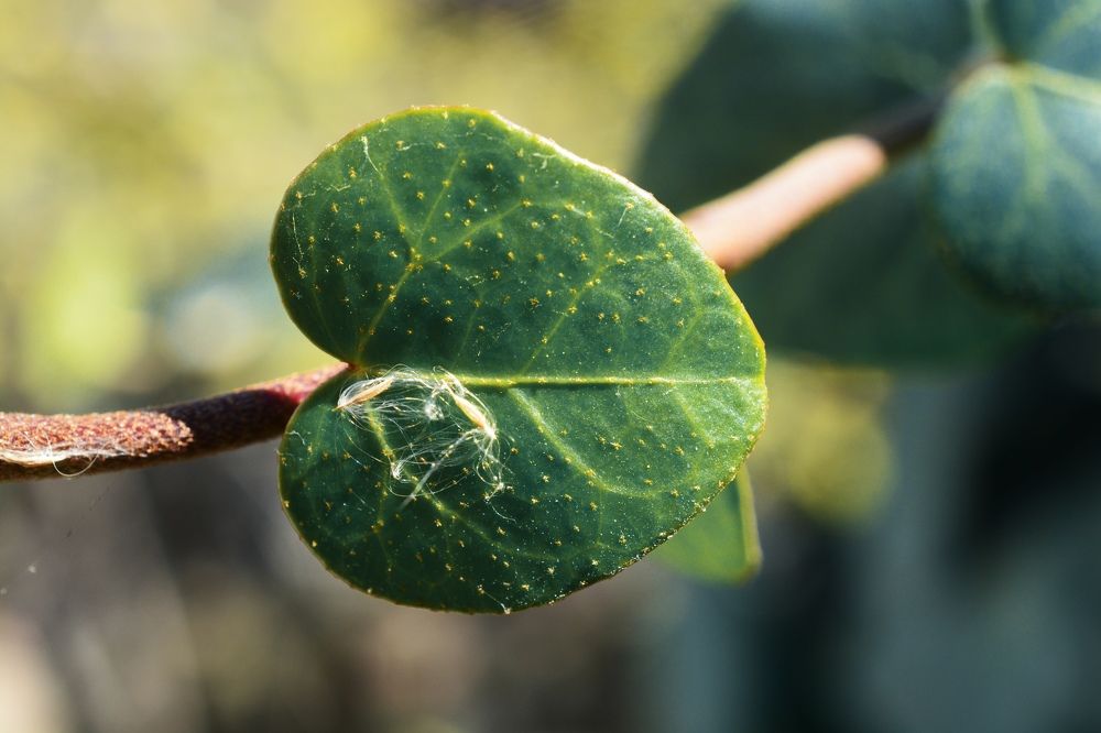 Photograph by Муза Латинская