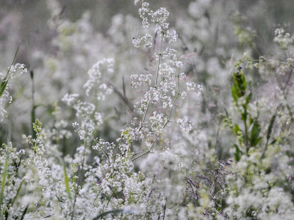 Photograph by Анастасия Гурова