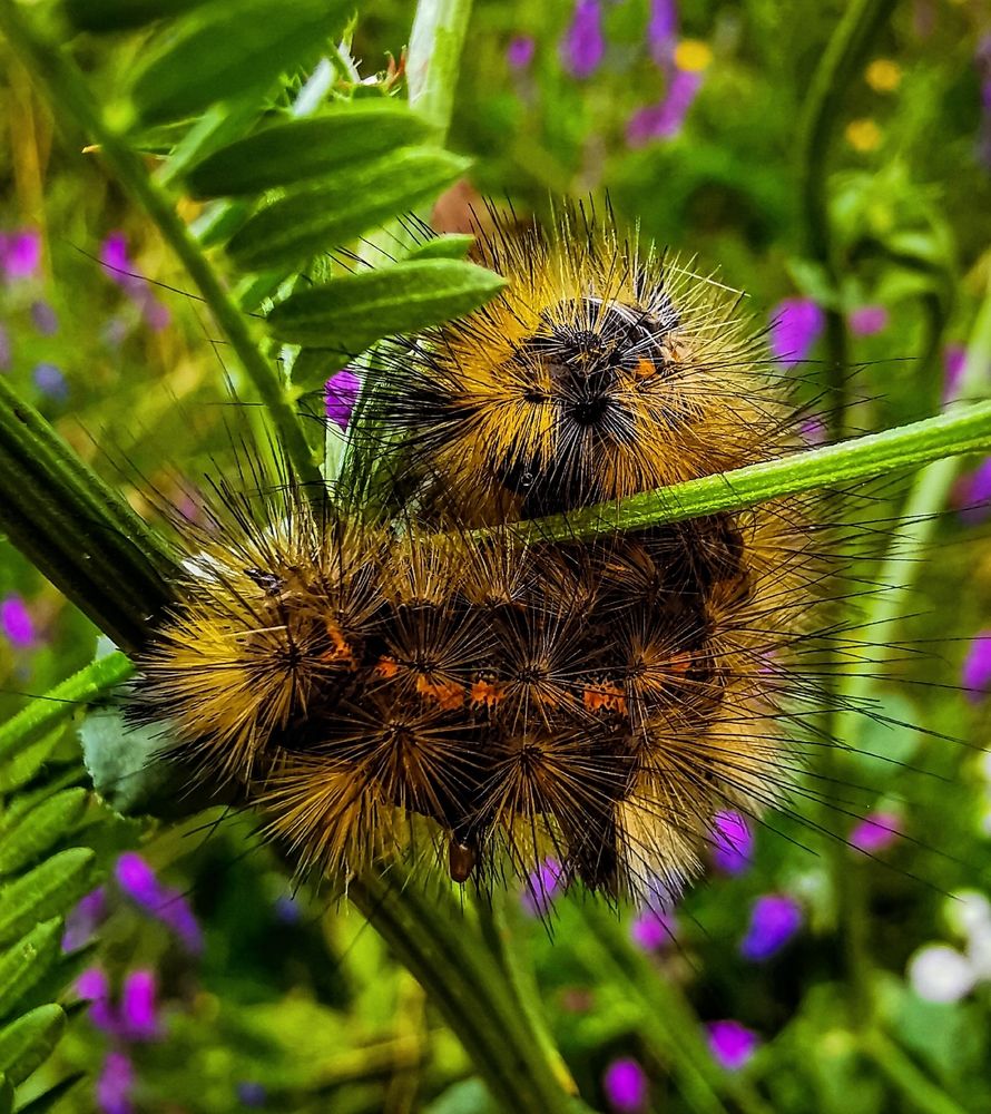 Photograph by Nikolett Mengyi