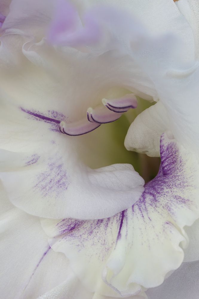 Photograph by Надежда Зайцева