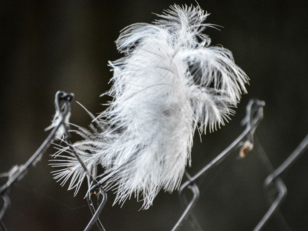 Photograph by Анастасия Гурова