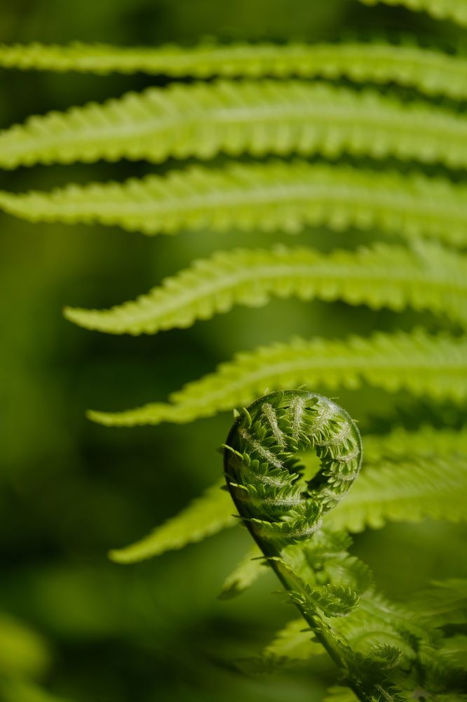 Фотография автора Александр Высоцкий