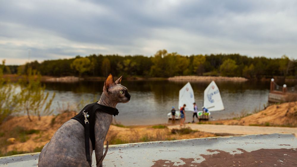 Photograph by Игорь Федянин