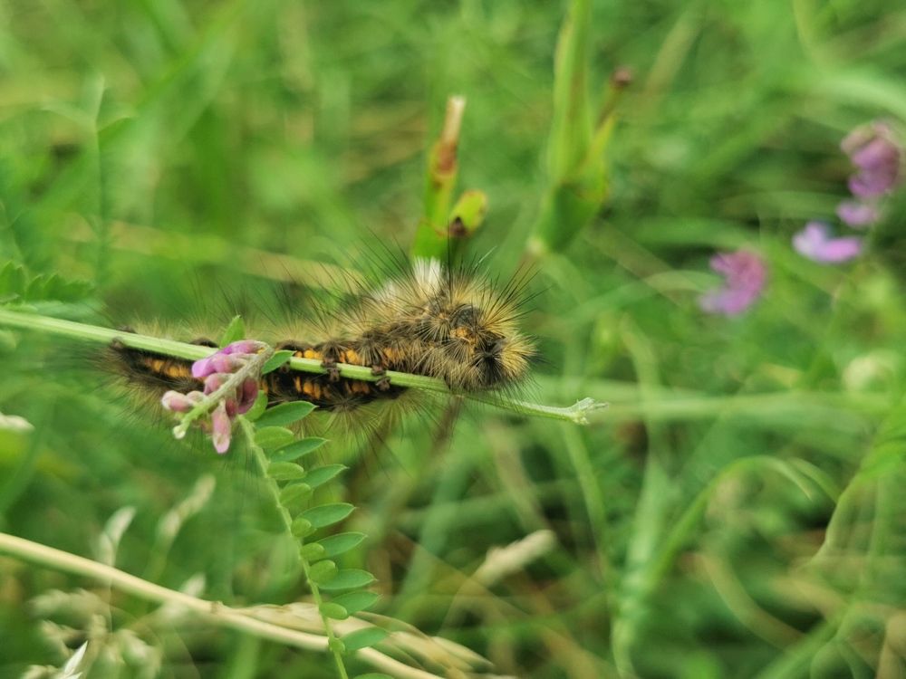 Photograph by Nikolett Mengyi