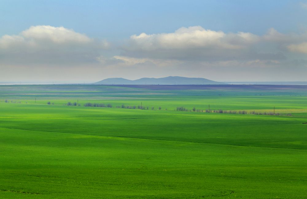 Зеленая земля