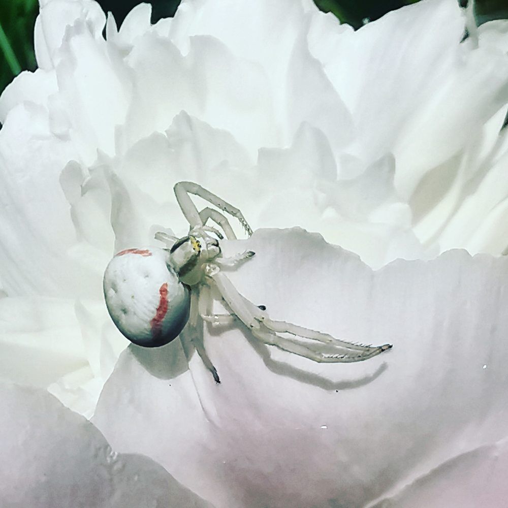 Photograph by Nikolett Mengyi