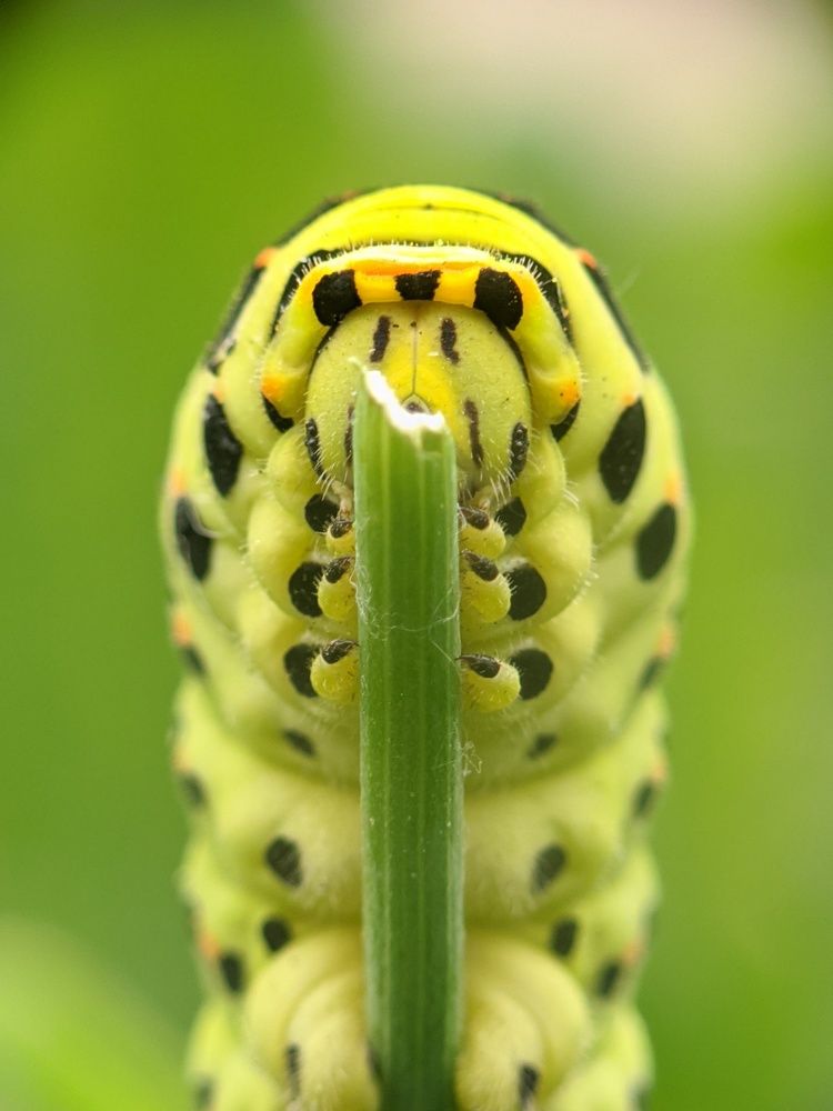 Photograph by Денис Пономарёв