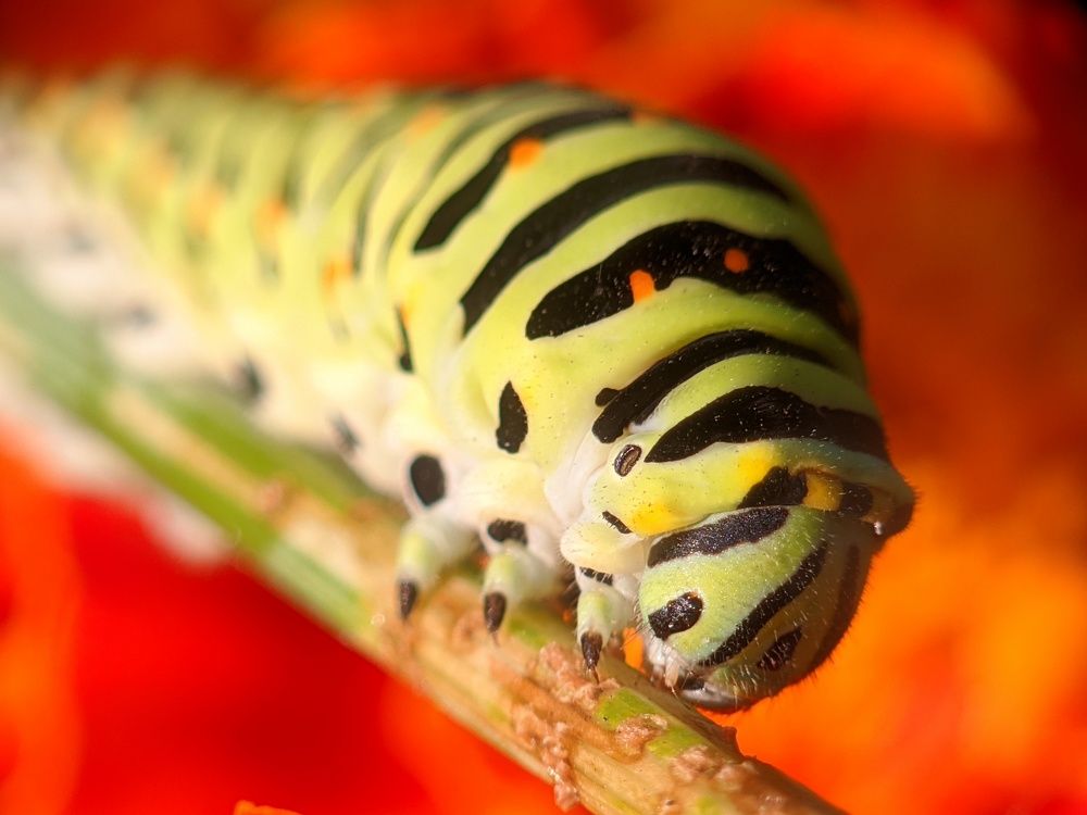 Photograph by Денис Пономарёв