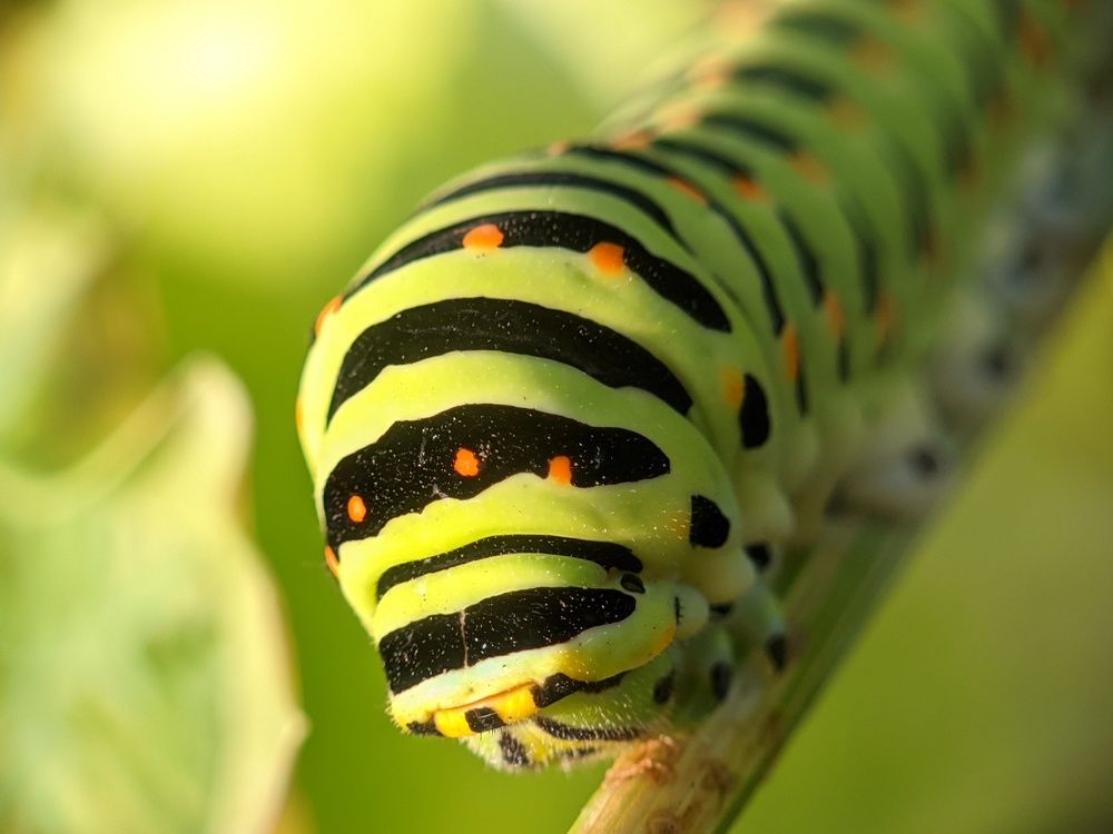 Photograph by Денис Пономарёв