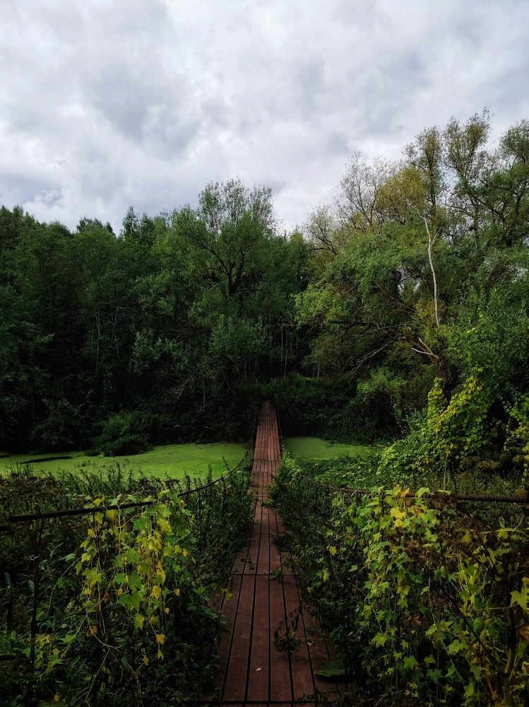 Photograph by Анна Кош