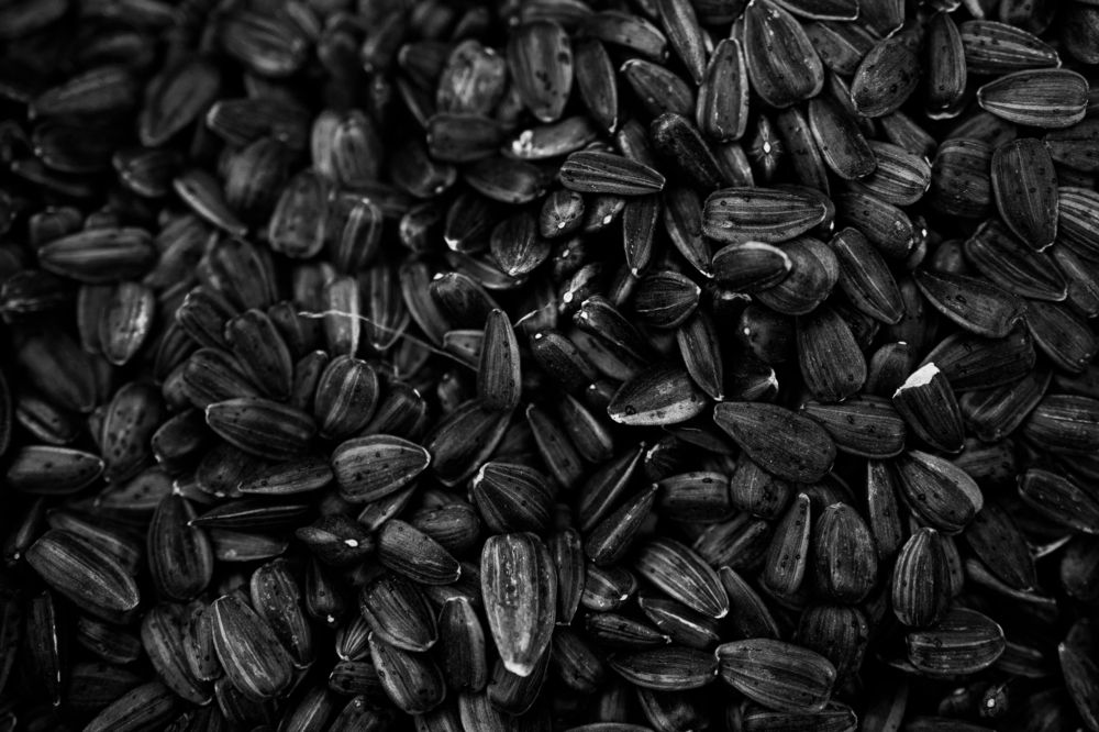 Photograph by Egor Gorin