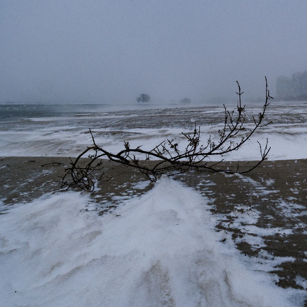 Photograph by Елена Шевченко