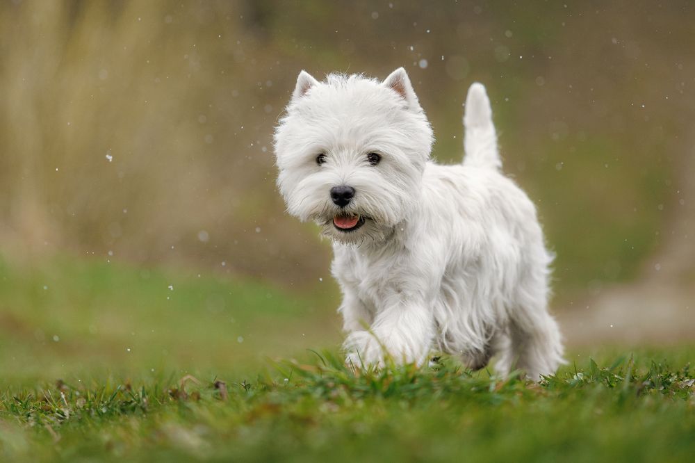 Photograph by Яна Нарбутович