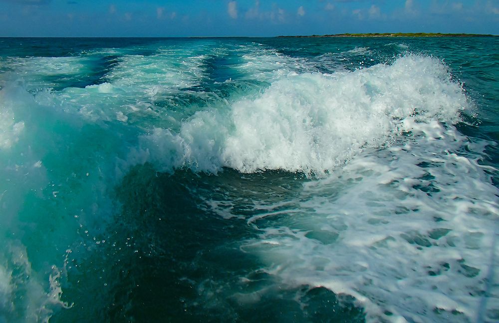 Photograph by Евгений Гонтов